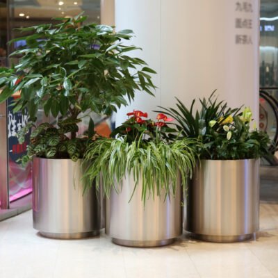 主图5 Cylindrical Stainless Steel Planter Set & Landscape Planter Bowl