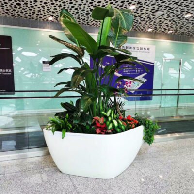 1 Large Oval FRP Planter For Airport Lobby